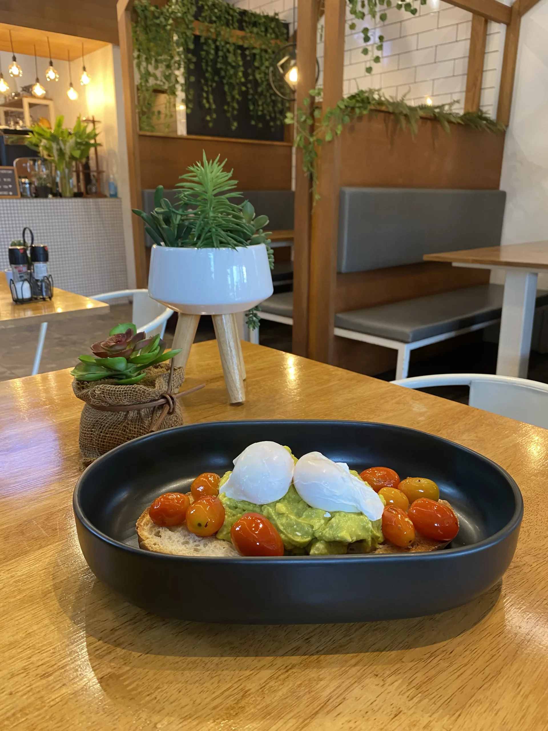 Smashed avocado on toast with roasted tomatoes and perfectly cooked poached eggs on a table with some plants at Poached Breakfast Cafe, Chalong, Phuket, Thailand. The best cafe in Phuket
