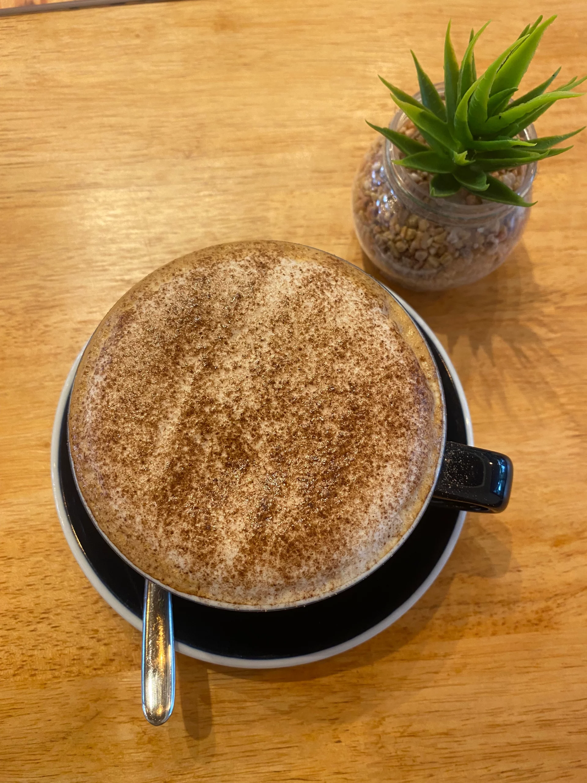 The perfect cappuccino with the fluffiest foam next to a little succulent plant at the best cute coffee shop in Chalong: Poached Breakfast Cafe, Chalong, Phuket, Thailand