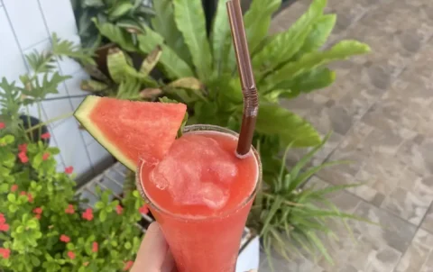 Fresh watermelon smoothie with plants behind it at the best Chalong vegetarian restaurant: Poached Breakfast Cafe, Chalong, Phuket, Thailand